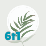 Blossom Plant Identifier APK